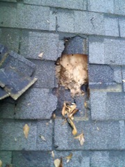 Canton's Best Gutter Cleaners' can replace rotted fascia and soffitt
